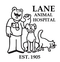 Best Veterinary Hospital in Chelsea, MI | Lane Animal Hospital