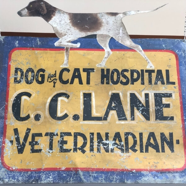 About Lane Animal Hospital Vet in Chelsea, MI 48118