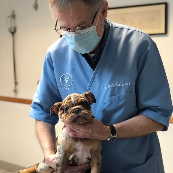 About Lane Animal Hospital Vet in Chelsea, MI 48118