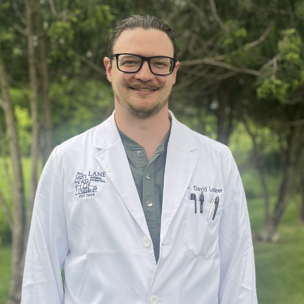 Dr. David Letteer
